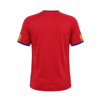 Camiseta selección España local Mundial 2010 - vista trasera